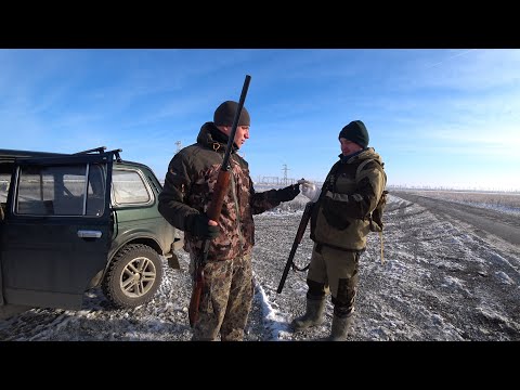 Видео: ОХОТА НА ЗАЙЦА - РУСАКА НА КУБАНИ ПО СНЕГУ : РАЗВЕДКА НОВЫХ МЕСТ БОЕМ
