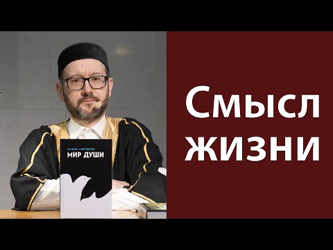 Видео: В поисках смысла жизни
