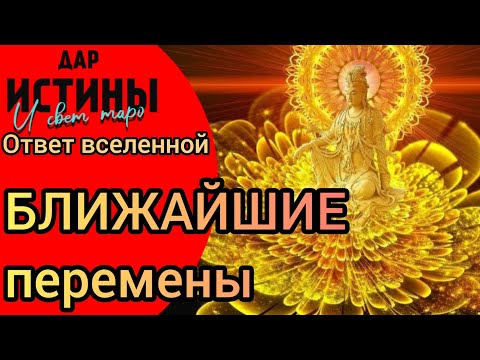 Видео: ✅🔯⁉️🔯✅ БЛИЖАЙШИЕ ПЕРЕМЕНЫ ⁉️⁉️⁉️⁉️⁉️🔯✅