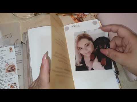 Видео: Переезд, что я пронесла сквозь ежедневники, my planner, sterling ink,VDS