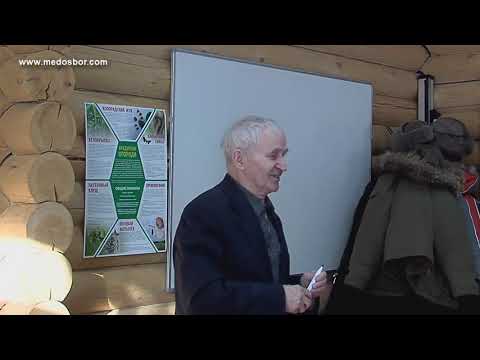 Видео: Занятие №2  Курсы В Г  Кашковского