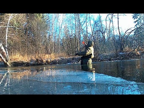 Видео: р.Сомня. Мало грязи,много рыбы.