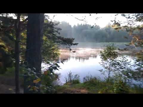 Видео: 30 октября 2025 г.