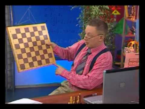 Видео: Математика 6. Координаты. Загадки как логические задачи — Академия занимательных наук