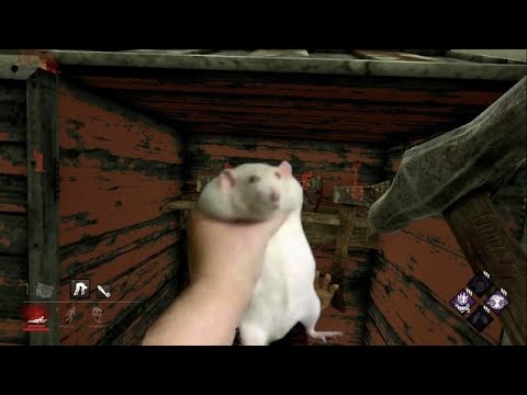 Видео: Dead by Daylight жизнь с лапками