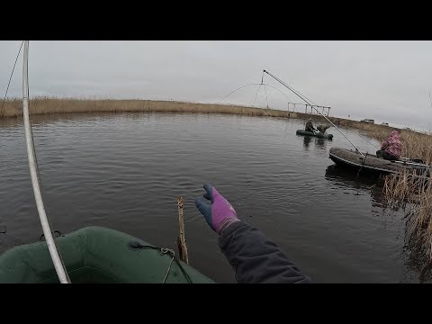 Видео: УХ ТЫ! ВОТ ЭТО ОТКРЫТИЕ НА ПАУК! ПРИВЯЗАЛИ ЛОДКИ К КАМЫШУ И ДАВАЙ ИХ ТАСКАТЬ! ВЕСНА РАДУЕТ УЛОВОМ