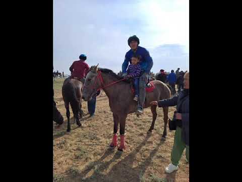 Видео: "Әкем- асқар тауым" байқауы. Низами Әлисұлтан Жәнібекұлы.