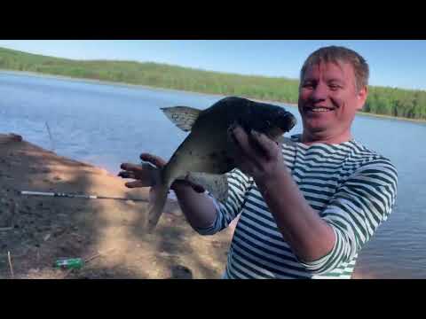 Видео: Солодовниковы на рыбалке,  лето 24. Первый Лещ