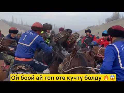 Видео: Аламан улак/ Ош, Фуркат/ Улак Жалдан-жалга ашып жүрдү.