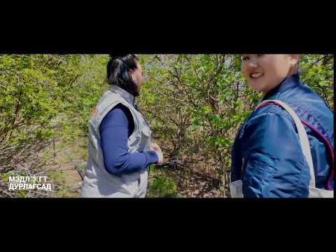 Видео: Ургамлын цуглуулгаас