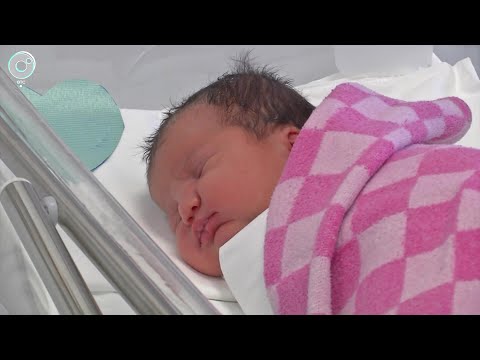 Видео: Новосибирский областной роддом празднует 30-летие