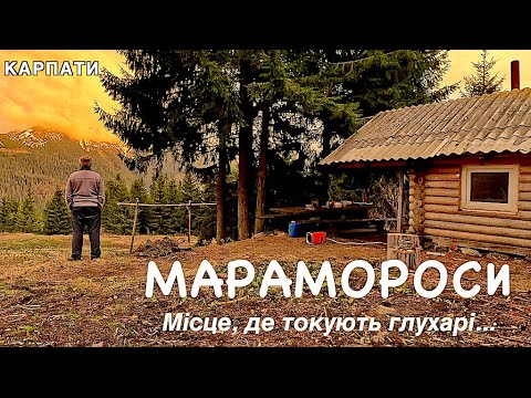Видео: Весняні Марамороси, живу у самого Піп-Івана. Карпати. Там, де токують Глухарі.