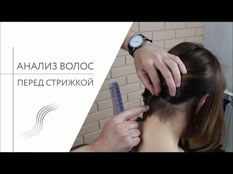 Видео: Анализ волос клиента на примере