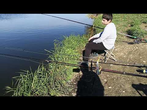 Видео: Рыбалка на озере Карповик 🎣 второе озеро