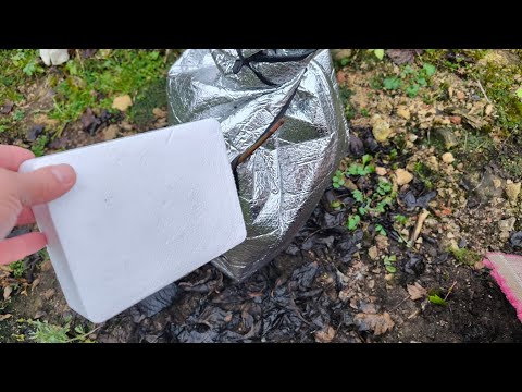 Видео: Смертельная ловушка для вашего урожая. Садовый обман: почему пенопласт – худший враг почвы.