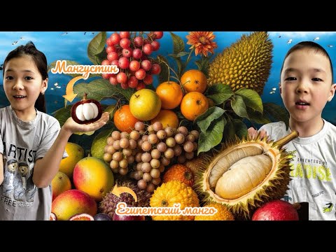 Видео: Қазақстанда жоқ жеміс🥭Маконти талып қалды😱мини фильм📽️ #trend #тренд #рек @Moldir-Makonti