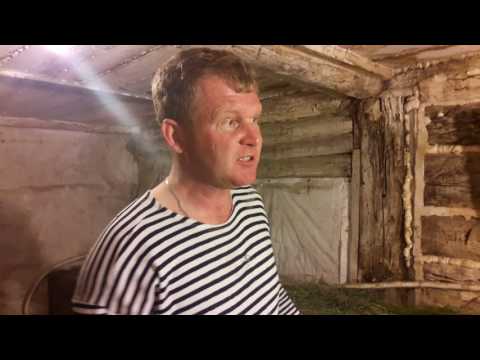 Видео: Порода Белый Великан