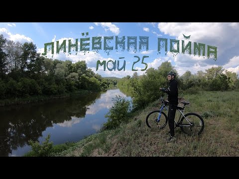 Видео: Линёвская пойма, май 25