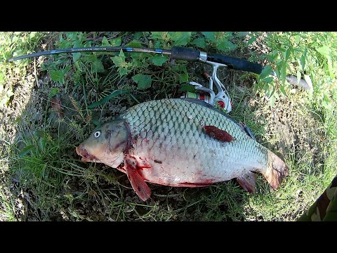 Видео: Рыбалка на Кубани - на пенопласт .