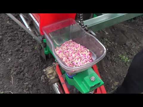 Видео: Сіємо гарбузи . Сеем тыкву китайской сеялкой точного высева