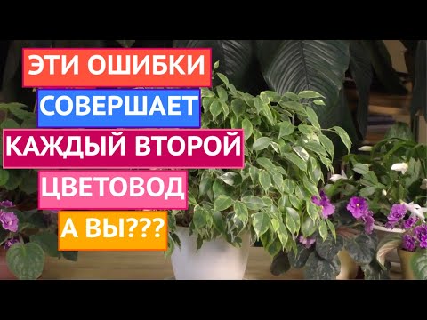 Видео: ОСНОВНЫЕ ОШИБКИ КОМНАТНОГО ЦВЕТОВОДСТВА!!!