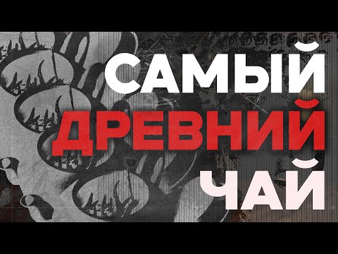 Видео: В чем секрет Белого Чая? | Art of Tea