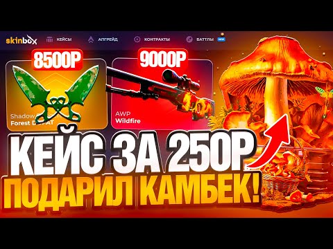 Видео: ВЕРНУЛСЯ НА МЕЙН АККАУНТ SKINBOX ! КАКОЕ РТП С МИНУСОМ 300.000 РУБЛЕЙ НА СКИНБОКС !? РОЗЫГРЫШ !