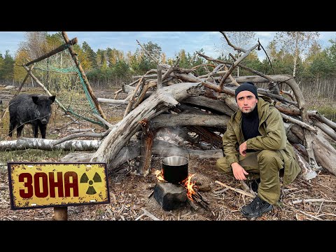 Видео: В Чернобыльскую Зону! Ловушка на кабанов. Шок сколько попалось