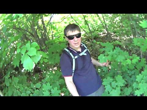 Видео: Ледяная пещера.Подгоры.Самарская область.