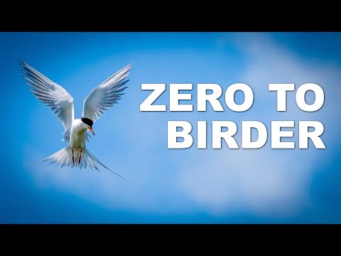 Видео: От нуля до наблюдателя за птицами с объективом Lumix 100-300mm II