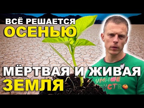 Видео: Почему весной у одних земля живая, а у других — мёртвая