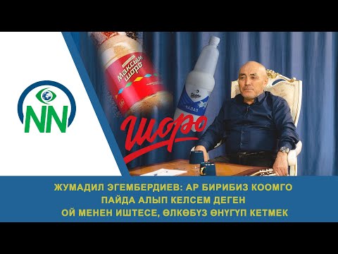 Видео: Жумадил Эгембердиев: "Ар бирибиз коомго иштесек, өлкөбүз өнүгүп кетмек"