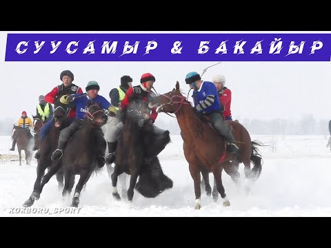 Видео: #КокборуСпорт#ЖерУлак🏇🏇🏇  Бакайыр & Суусамыр 😱😱😱🐐🏇👍