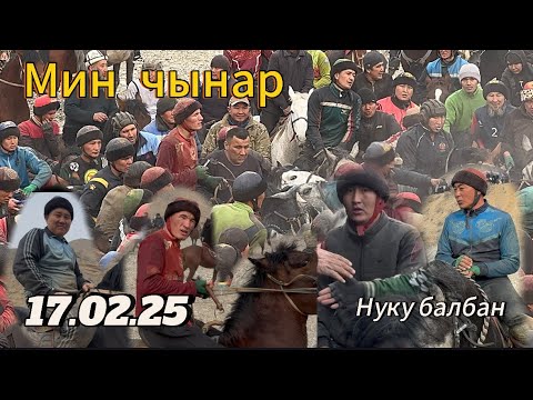 Видео: Чон жыйын мин чынар балбандын баары ортодо