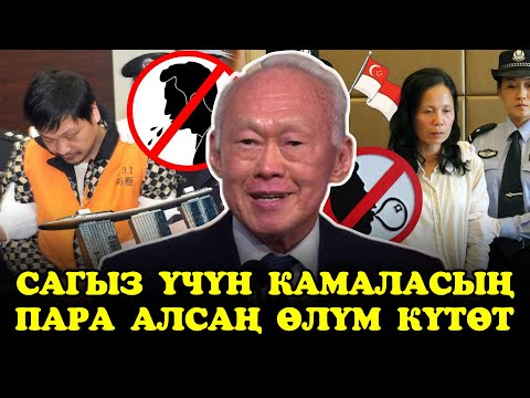 Видео: ЖҮРӨКТҮ ТҮШҮРГӨН СИНГАПУР | ЭҢ КААРДУУ МЫЙЗАМДАР БУЛ ӨЛКӨДӨ БАР