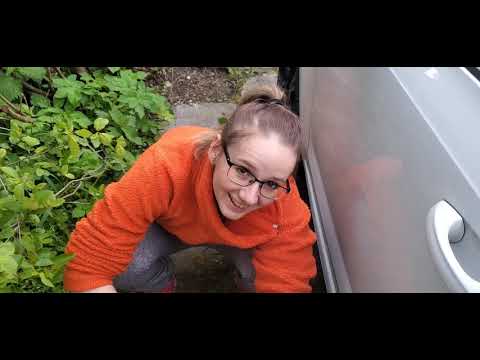 Видео: ЗАМЕНА ОКАНТОВКИ (РАМКИ) И УКАЗАТЕЛЯ ПОВОРОТА ЗЕРКАЛА НА SKODA OCTAVIA