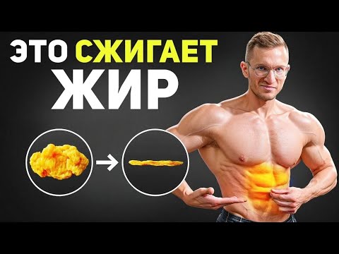Видео: Почему 90% Людей НИКОГДА Не Похудеют? (эти привычки изменили всё)