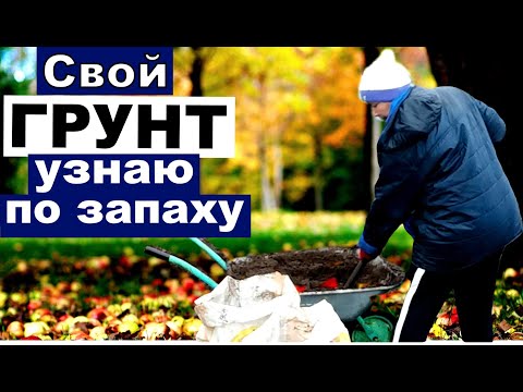 Видео: Мне говорят- такой грунт делать НЕЛЬЗЯ! А у меня все растет и получается. Где правда?