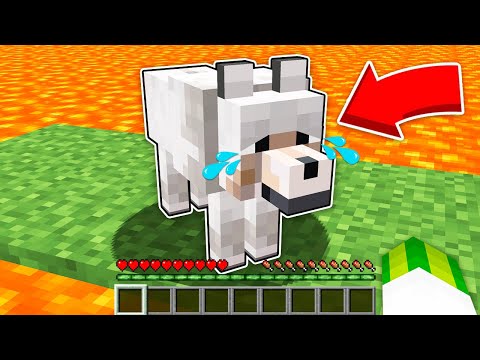 Видео: ЯК ВРЯТУВАТИ СОБАКУ У МАЙНКРАФТІ