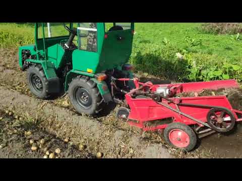 Видео: Уборка картофеля самодельной навесной  картофелекопалкой 2025 год