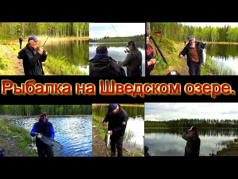 Видео: Как поймать форель в Швеции.  Какие правила ловли и как все устроено.День второй.