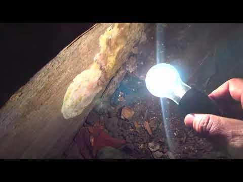 Видео: КУПИЛ ГНИЛОЙ ДОМ В ДЕРЕВНЕ РЕМОНТ ПОДПОЛЬЯ