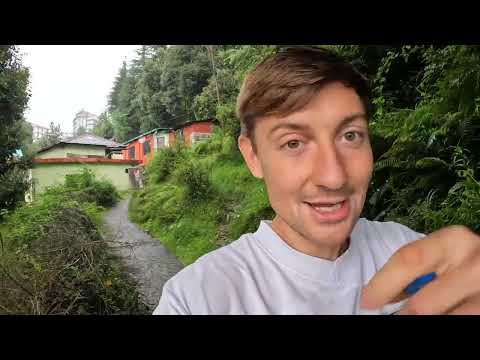 Видео: Крайний день в Дхарамсале, Готовлю Завтрак, Говорим о Жизни Огород с зеленью, Волонтерская программа