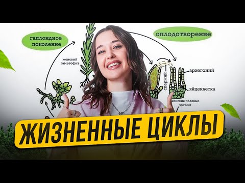 Видео: ЖИЗНЕННЫЙ ЦИКЛ растений ЛЕГКО! / Как запомнить его к ОГЭ по биологии?