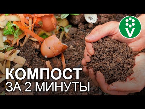 Видео: ЛЕНИВЫЙ КОМПОСТ ПРЯМО НА ГРЯДКЕ: делаем правильно!