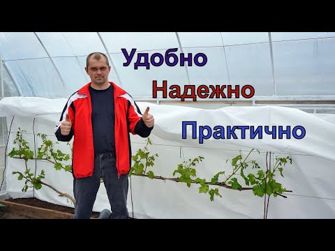 Видео: Новая теплица  для винограда и помидор .