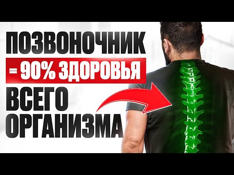 Видео: ПОЗВОНОЧНИК = 90% ЗДОРОВЬЯ ВСЕГО ОРГАНИЗМА. Как за 5 шагов прийти к жизни без боли?