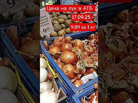 Видео: Цена на лук в АТБ. Хорошая цена 17.09.25.