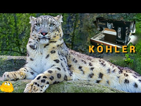 Видео: Снежный тюнинг "Барса". Kohler 50 класс. (редактор  POCO x5 Pro  4K ). Швейная машинка.