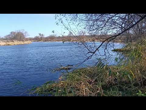 Видео: 27 октября 2025 г.